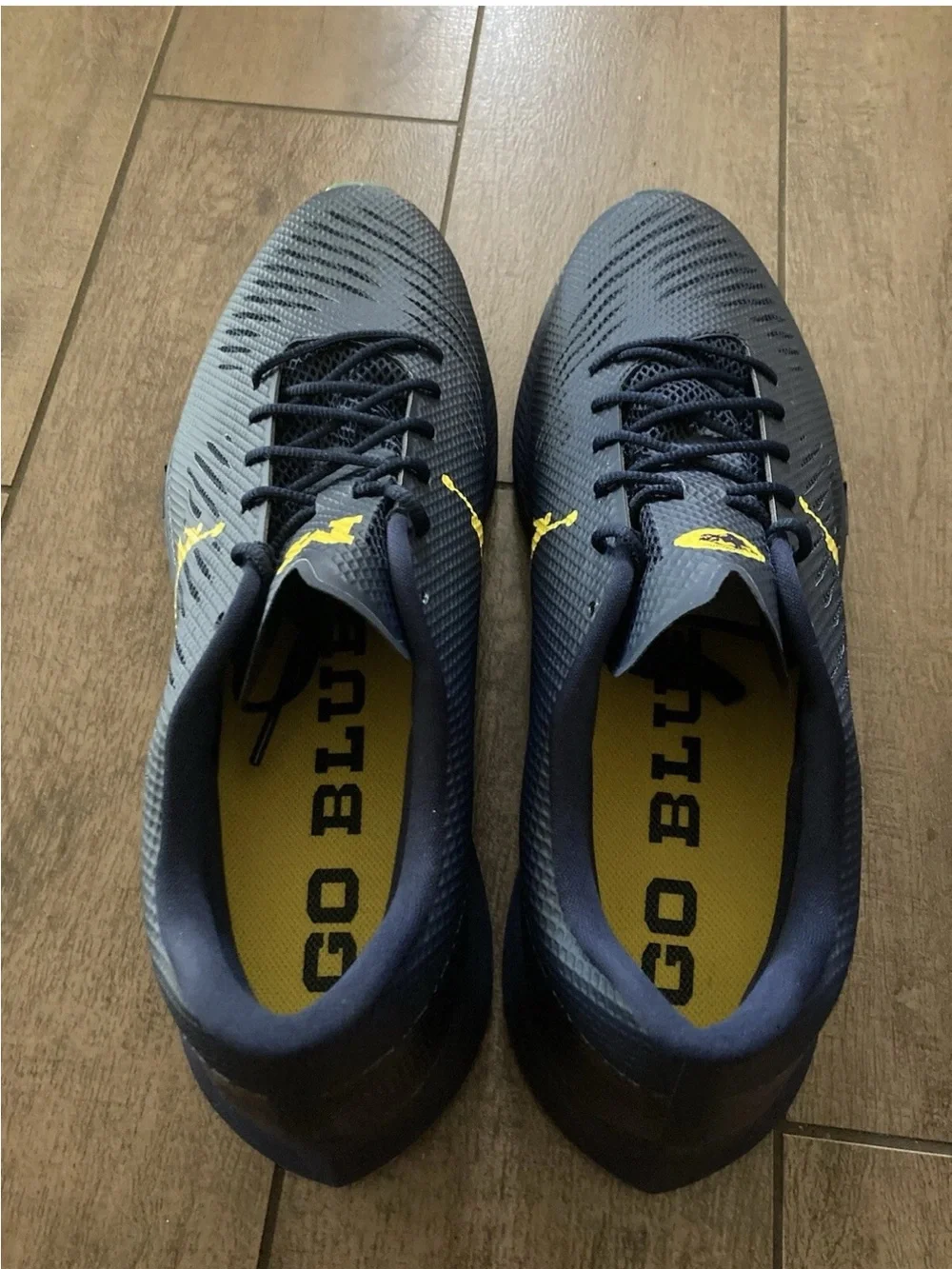 Nike Air Jordan Vapor Edge Turf Cleats 'Michigan Wolverines' CV1670 400 Sz 16